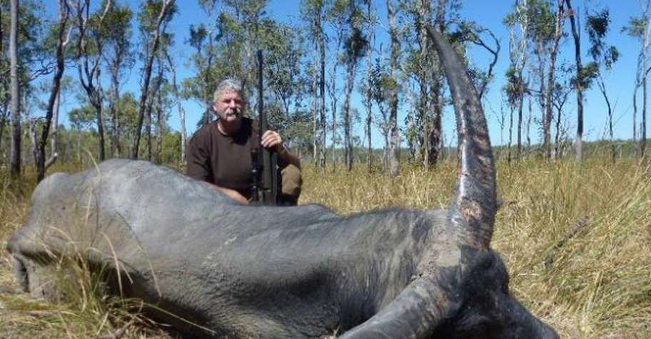 Buffalo Hunt 1x1 PRE-SHOW SPECIAL PRICE